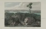 William Westall, Vegetation of New South Wales, near Port Jackson, c.1866, Hand Coloured Engraving