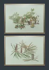 Celia Rosser, (2), Offset Lithograph (2)