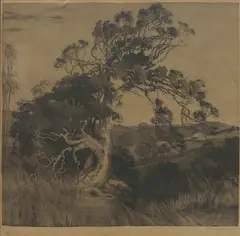 Henri van Raalte, Leaning Tree, Aquatint 1/75/OS (?)