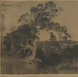 Henri van Raalte, Leaning Tree, Aquatint 1/75/OS (?)
