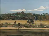 Lucy Boyd, Bundanon, Oil on Board