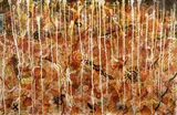 Richard Bell, Untitled, c.1991, Mixed Media on Linen