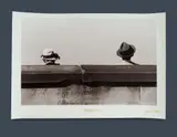 Ian Lever, Elderly Hats, Selenium-Toned Silver Gelatin Photograph