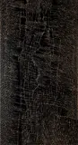 Julie Robinson Nangala, Mina Mina, 2021, Acrylic on Linen