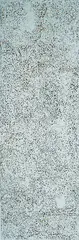 Kathleen Ngale, Bush Plum, Acrylic on Linen