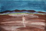 Sidney Nolan, Central Australia