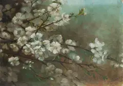 May Gibbs, Almond Blossoms, 1892, Oil on Card