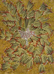 Ruby Abbott Napangardi, Untitled (Bush Food), Acrylic on Canvas