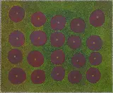 Kudditji Kngwarreye, Untitled