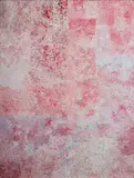 Kathleen Ngale, Anwekety - Bush Plum, 2007, Accompanied by colour photograph of the artist with the finished painting