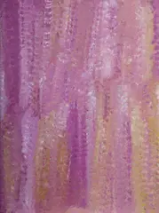 Kathleen Ngale, Anwekety - Bush Plum, 2010, Accompanied by colour photograph of the artist holding the finished painting