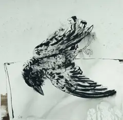 Luke Sciberras, Untitled (Crow), 2016, Ink on Paper