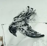 Luke Sciberras, Untitled (Crow), 2016, Ink on Paper