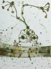 John Olsen, Frog at Kakadu, 1988, Printer: Neil Leveson, Victorian Print Workshop
