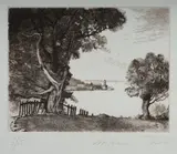 Adrian Feint, Milson's Point, 1982, Accompanied by certificate of authenticity from The Print Room, Sydney. Printed from the original plates by Peter Hickey as authorised by the trustees of the estate of the late Adrian Feint