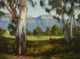 Robyn Collier, Shady Corner, Oil on Canvas on Board