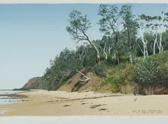 David Rose, The Bush at Bateau Bay, 1991, S/Print 67/90