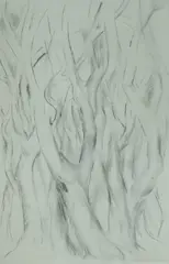 Tree Study by Jean Appleton, 1969, Pencil, sold Jul 2025