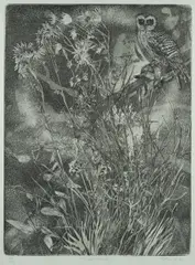 Pamela Griffith, Night Watch, Aquatint Etching 35/40