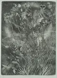Pamela Griffith, Night Watch, Aquatint Etching 35/40