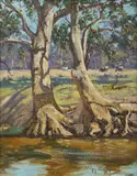 Ritchey Sealy, Gums by the Lachlan [River, NSW], Oil on Canvas on Board