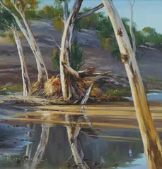 Robyn Collier, Flood Debris, Bracchina Gorge, Oil on Canvas on Board