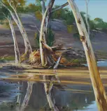 Robyn Collier, Flood Debris, Bracchina Gorge, Oil on Canvas on Board