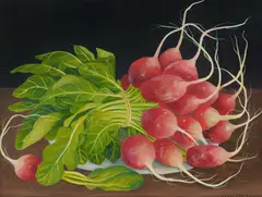 Charlotte Thodey, Still Life with Radishes, Oil on Canvas