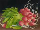 Charlotte Thodey, Still Life with Radishes, Oil on Canvas
