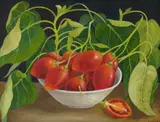 Charlotte Thodey, Tomatoes in a Bowl Still Life, Oil on Canvas