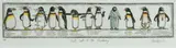 Leon Pericles, Roll Call at the Rookery, Hand Coloured Etching A/P
