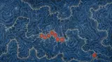 Seven Sisters Dreaming by Gabriella Possum Nungurrayi, Acrylic on Canvas, sold Jul 2025