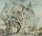 Hans Heysen, Farm Gums, Charcoal & Pastel