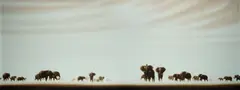 Peter Hickey, Elephant Kingdom, 2002, Oil on Canvas