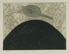 Dean Bowen, Bower Bird, 2008, Aquatint & Drypoint Etching 12/35