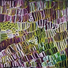Minnie Pwerle, Body Paint Design, 2003, Acrylic on Cotton Duck