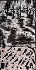 Untitled (Tjiturrulpa) by Eileen Napaljarri, 2002, Acrylic on Linen, sold May 2025