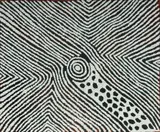 Eileen Napaljarri, Tjiturrulpa Rockhole and Soakage Water Site, 2015, Acrylic on Linen