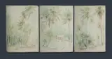 Ellis Silas, (3), Colour Pencil (3)