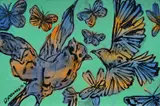 David Bromley, Fluttering Birds and Butterflies, Acrylic on Canvas