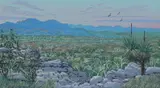 Peter Snelgar, Aroona, Flinders Ranges, 1989, Oil on Board