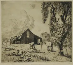 Pumpkin Patch by Lionel Lindsay, Etching 18/50, sold Dec 2024