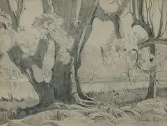 Douglas Pratt, River Gums, Pencil