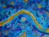 Kurun Warun, Pundin Parreeyt, Acrylic on Canvas