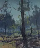 Lance Solomon, Cattle in the Bush