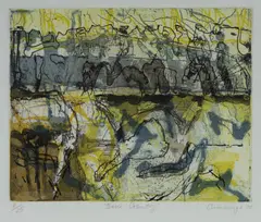 Elisabeth Cummings, Bone Country, 2006, Aquatint Etching 8/25