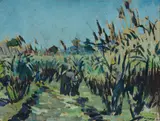 Noel Wood, Cane Cutting, Oil on Paper on Board