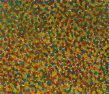 Galya Pwerle, Awelye Atnwengerrp, 2020, Acrylic on Canvas