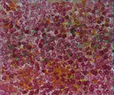 Tammy Pitjara, Bush Plum, 2021, Acrylic on Linen