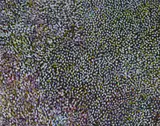Bessie Pitjara, Bush Plum, 2020, Acrylic on Canvas
